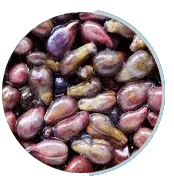 Grape seeds and grapes